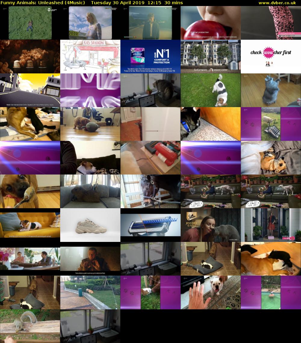 Funny Animals: Unleashed (4Music) Tuesday 30 April 2019 12:15 - 12:45