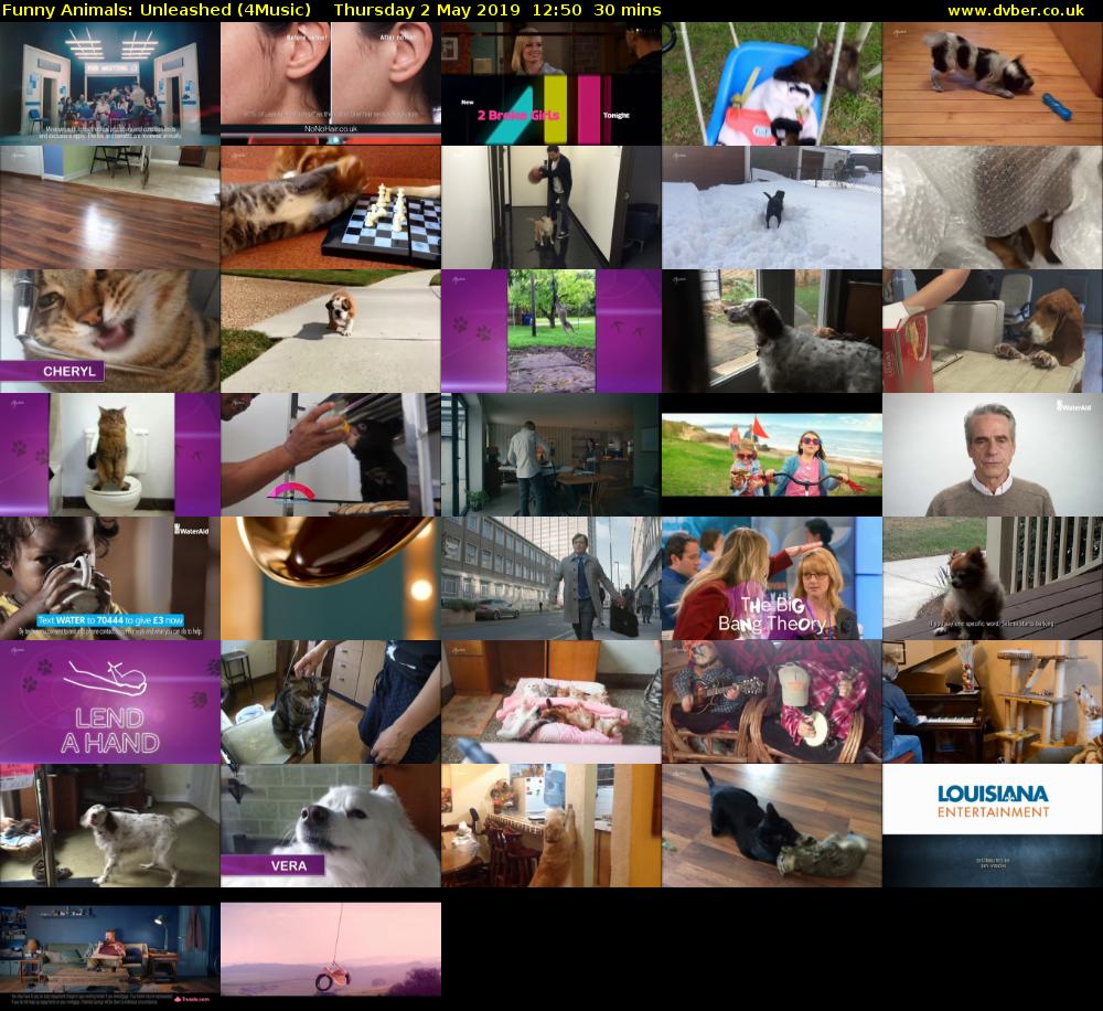 Funny Animals: Unleashed (4Music) Thursday 2 May 2019 12:50 - 13:20
