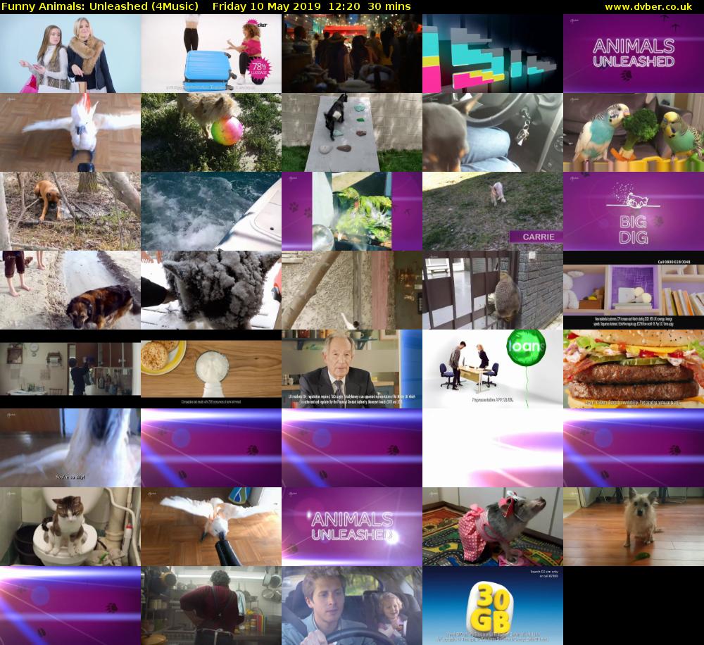 Funny Animals: Unleashed (4Music) Friday 10 May 2019 12:20 - 12:50