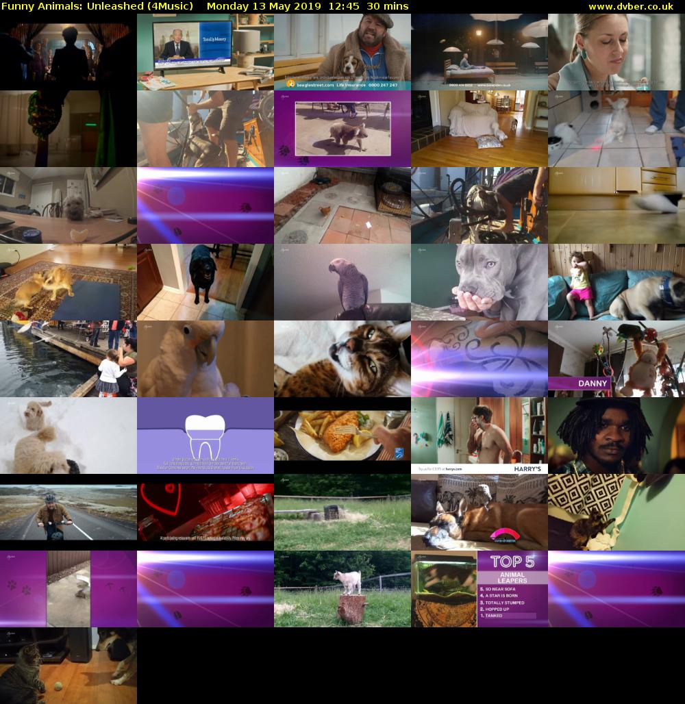 Funny Animals: Unleashed (4Music) Monday 13 May 2019 12:45 - 13:15