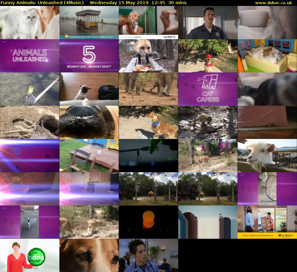 Funny Animals: Unleashed (4Music) Wednesday 15 May 2019 12:45 - 13:15