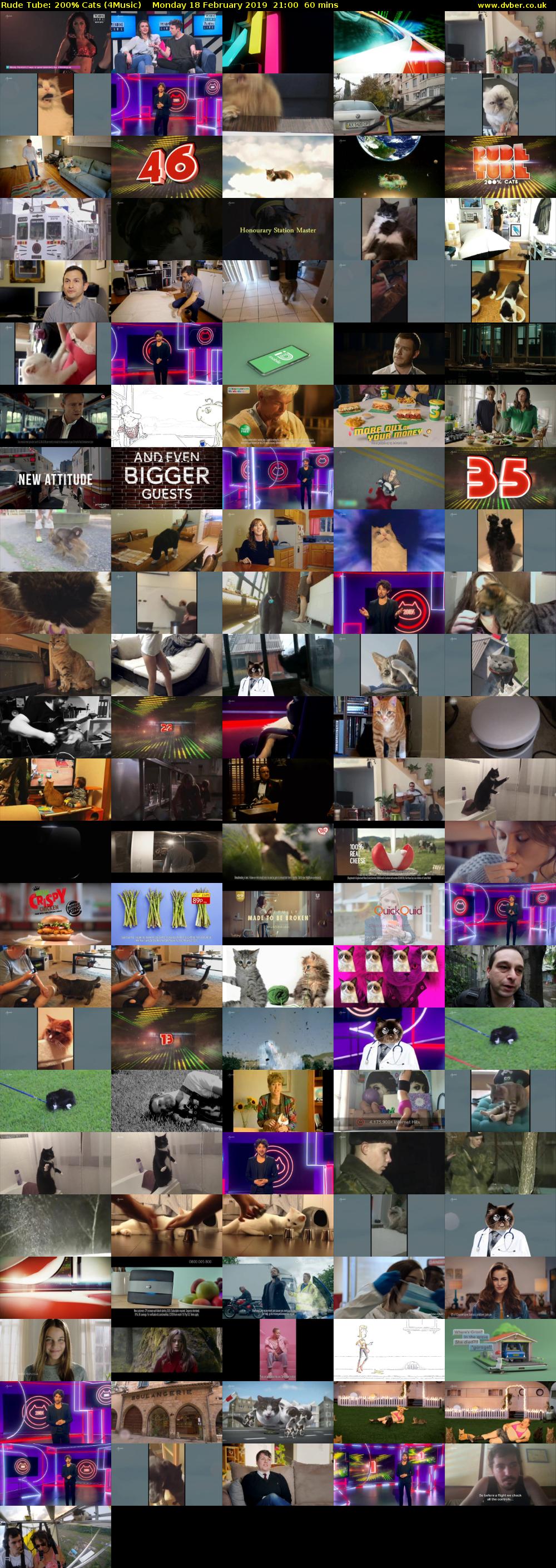 Rude Tube: 200% Cats (4Music) Monday 18 February 2019 21:00 - 22:00