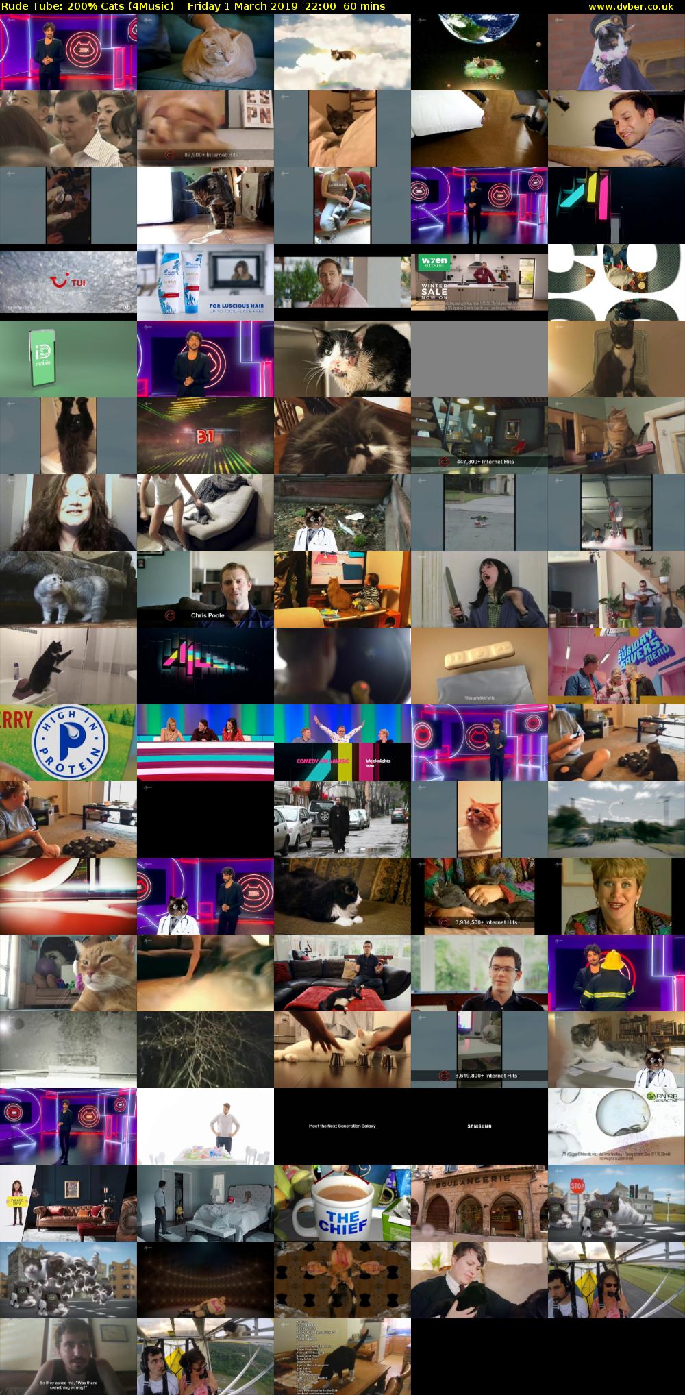 Rude Tube: 200% Cats (4Music) Friday 1 March 2019 22:00 - 23:00