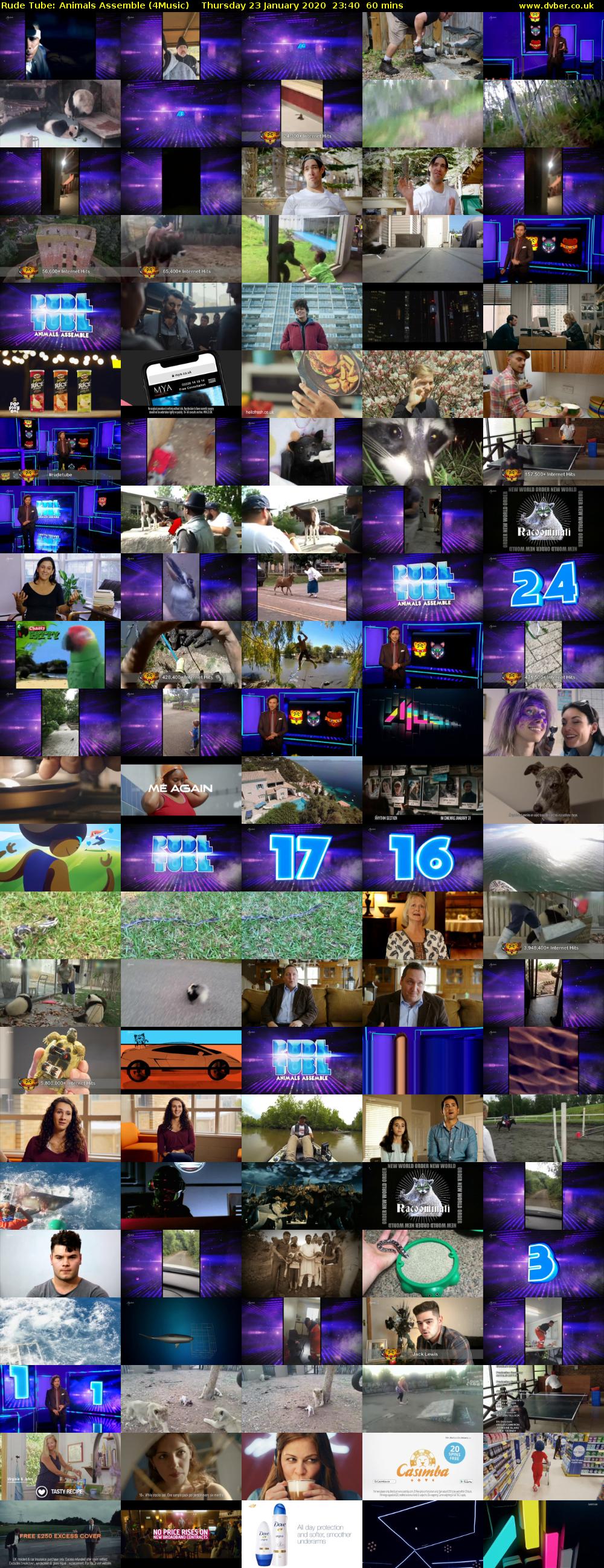 Rude Tube: Animals Assemble (4Music) Thursday 23 January 2020 23:40 - 00:40