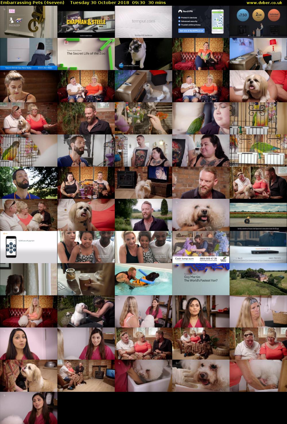 Embarrassing Pets (4seven) Tuesday 30 October 2018 09:30 - 10:00