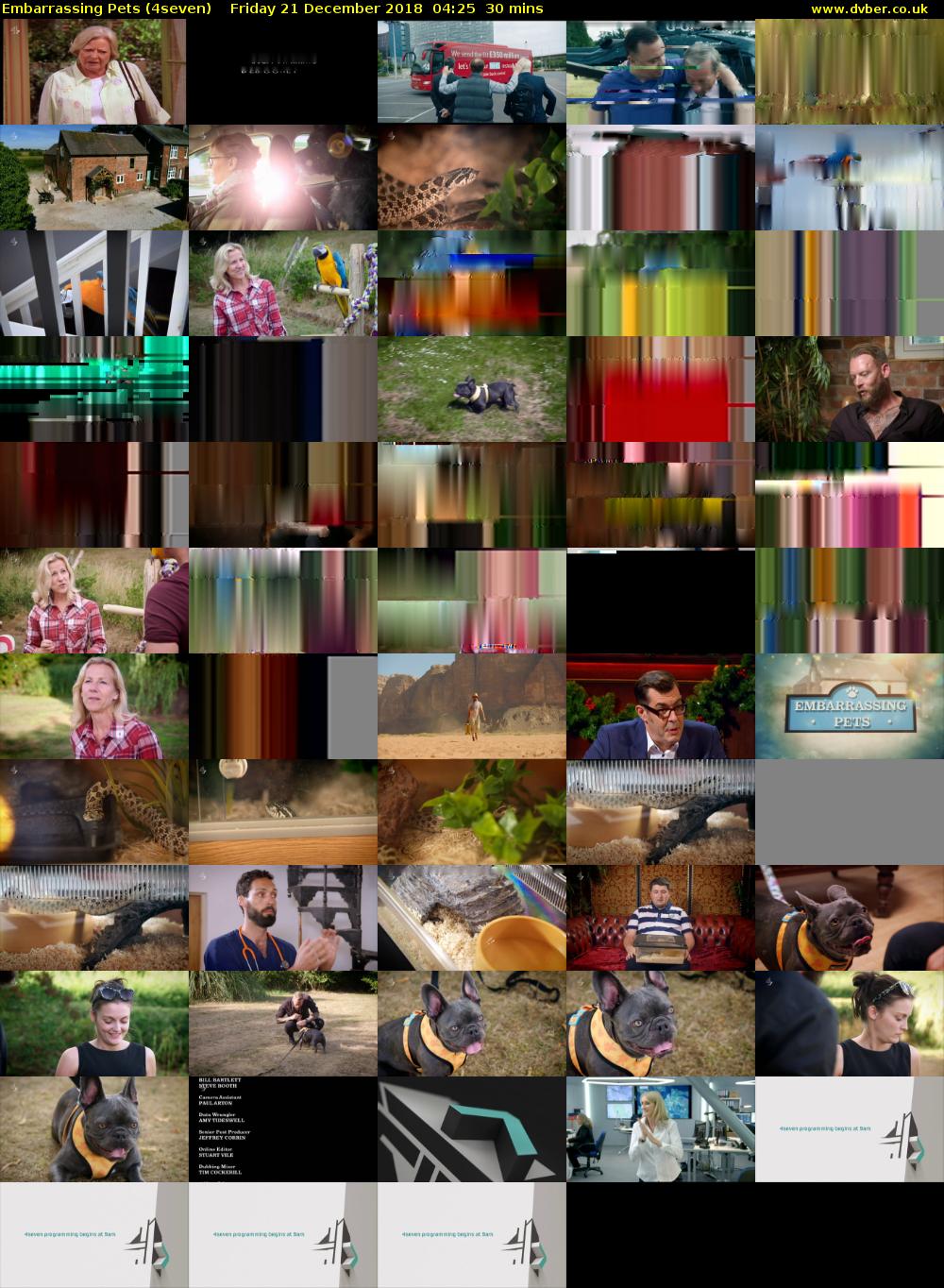 Embarrassing Pets (4seven) Friday 21 December 2018 04:25 - 04:55