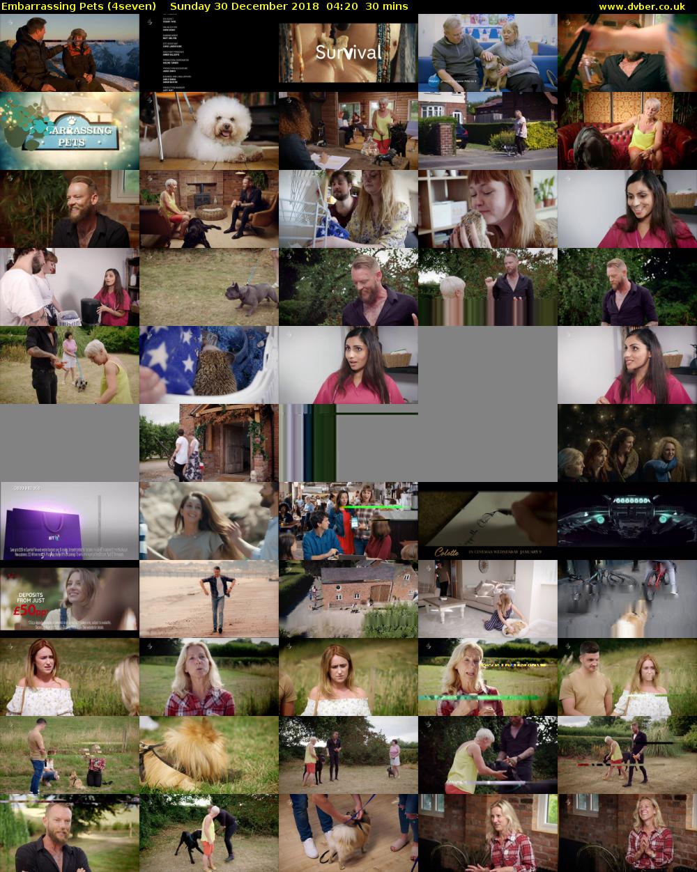 Embarrassing Pets (4seven) Sunday 30 December 2018 04:20 - 04:50