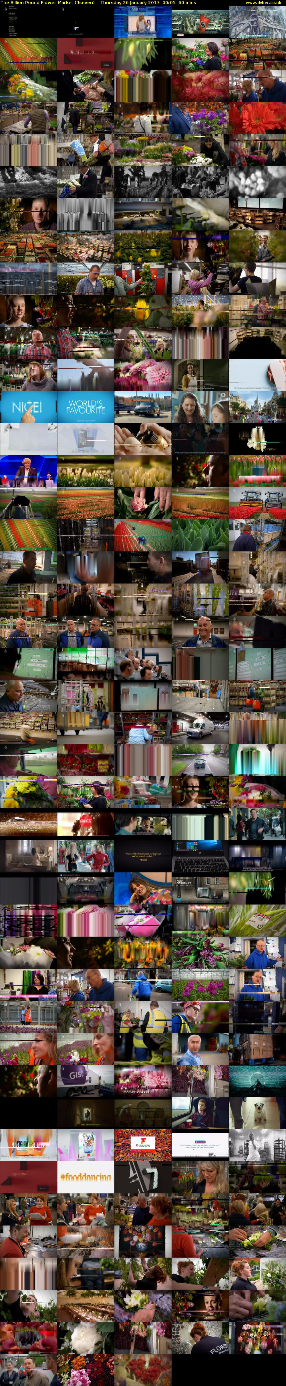 The Billion Pound Flower Market (4seven) Thursday 26 January 2017 00:05 - 01:05