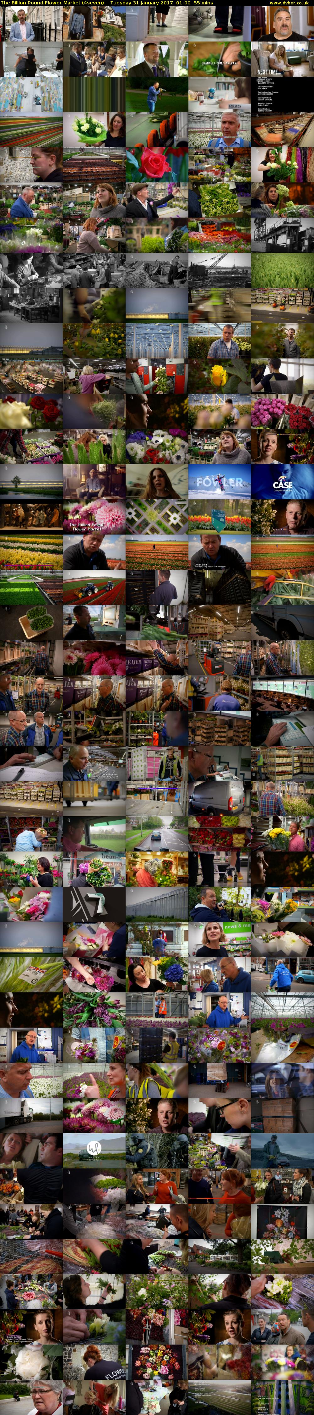 The Billion Pound Flower Market (4seven) Tuesday 31 January 2017 01:00 - 01:55