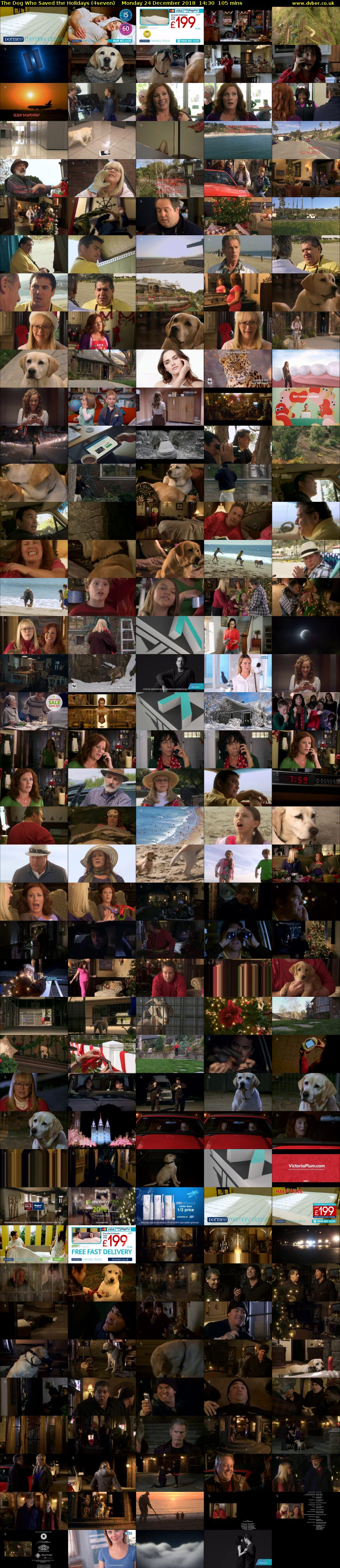 The Dog Who Saved the Holidays (4seven) Monday 24 December 2018 14:30 - 16:15