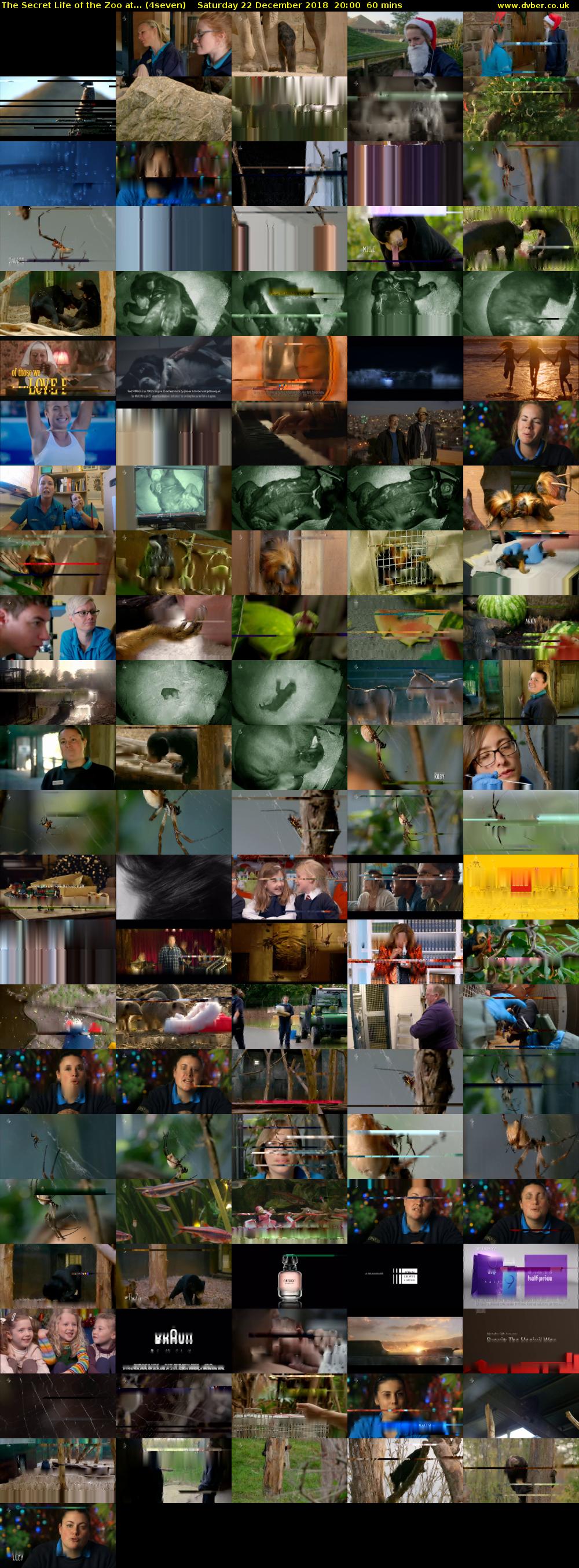 The Secret Life of the Zoo at... (4seven) Saturday 22 December 2018 20:00 - 21:00