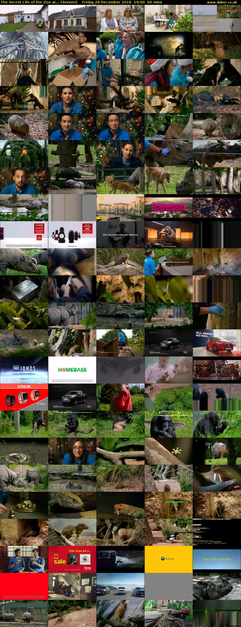 The Secret Life of the Zoo at... (4seven) Friday 28 December 2018 19:00 - 20:00