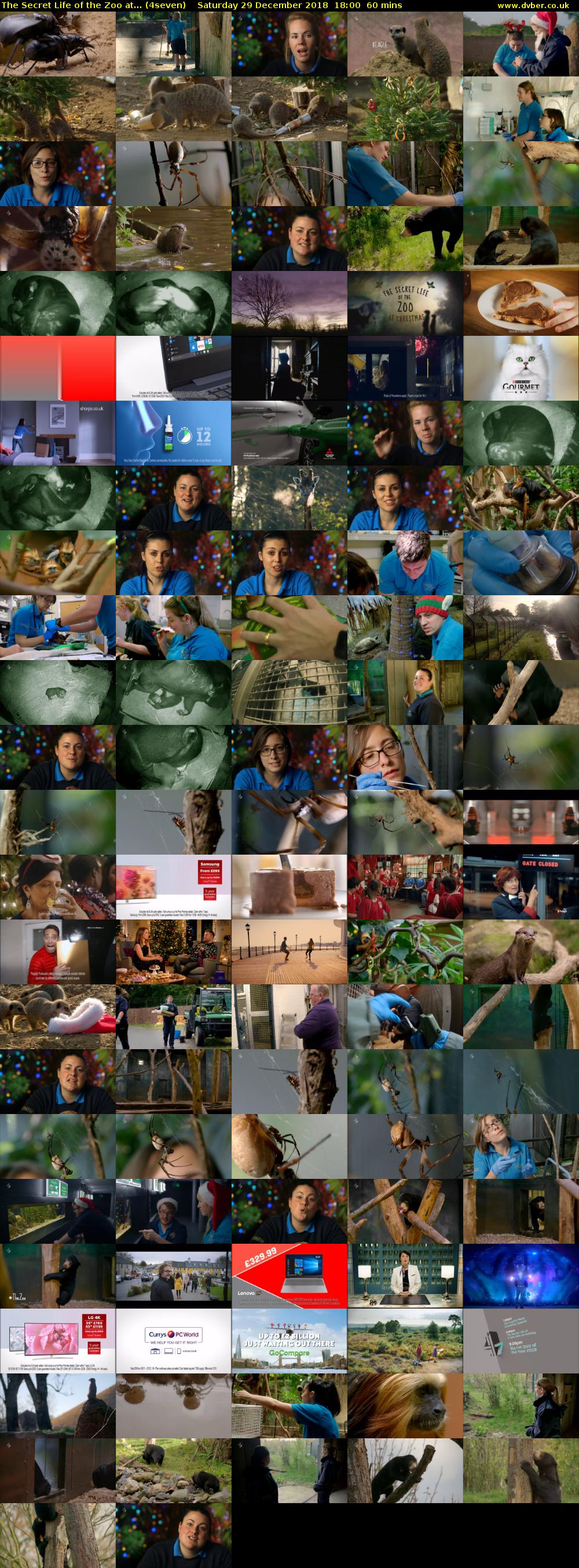 The Secret Life of the Zoo at... (4seven) Saturday 29 December 2018 18:00 - 19:00