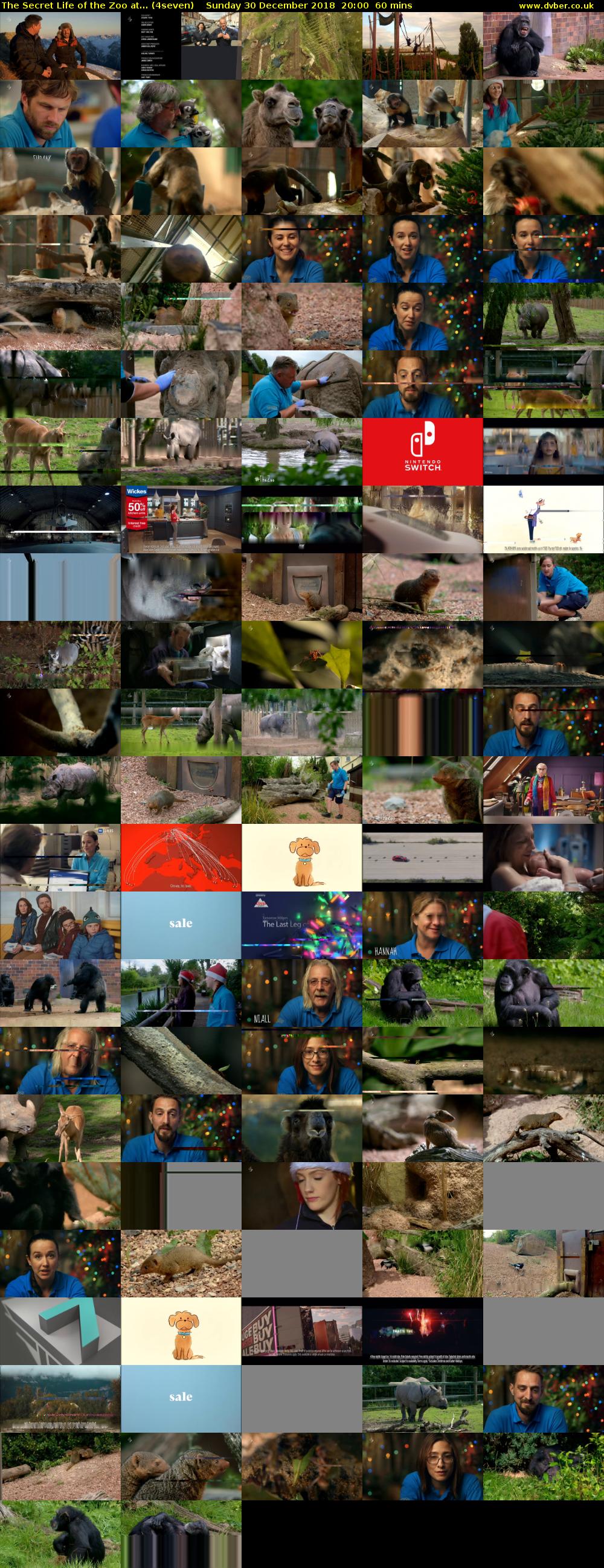 The Secret Life of the Zoo at... (4seven) Sunday 30 December 2018 20:00 - 21:00