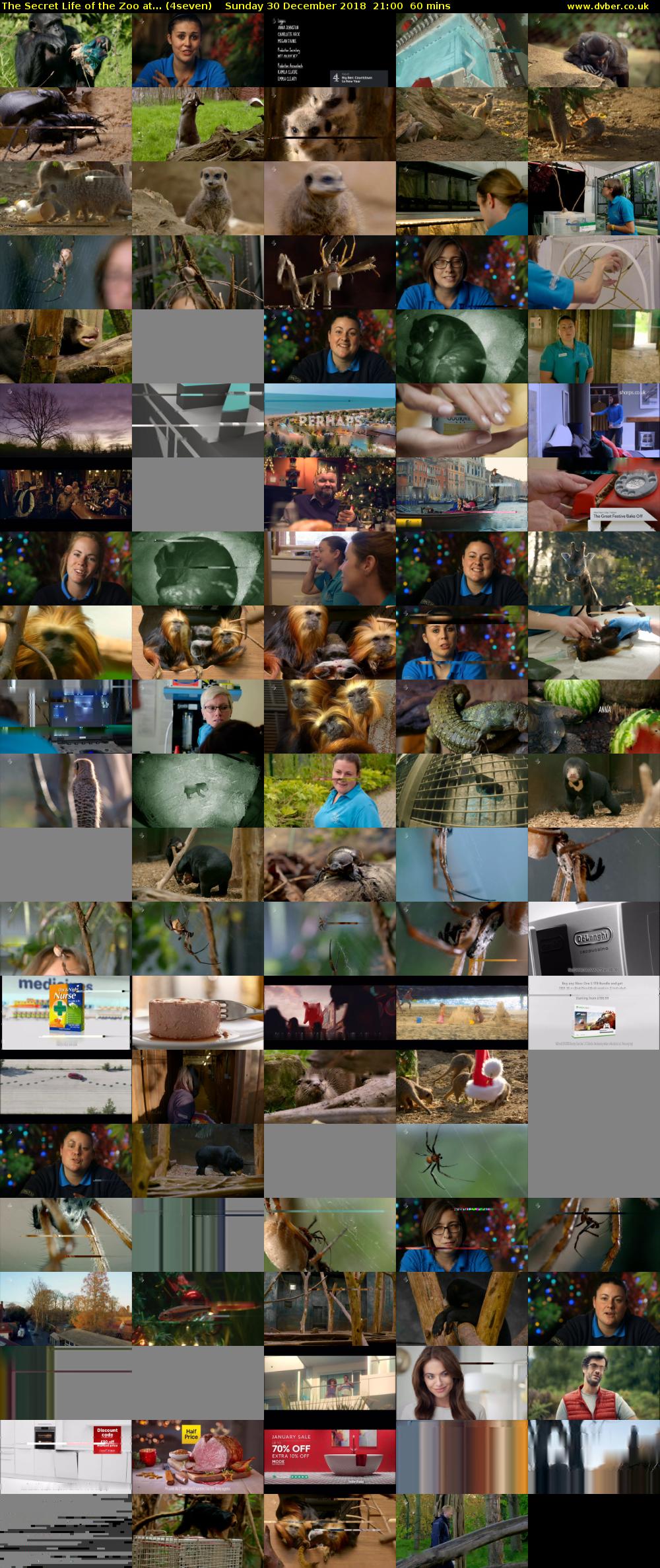 The Secret Life of the Zoo at... (4seven) Sunday 30 December 2018 21:00 - 22:00