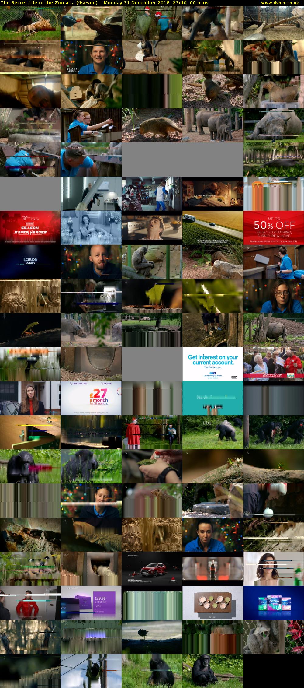 The Secret Life of the Zoo at... (4seven) Monday 31 December 2018 23:40 - 00:40
