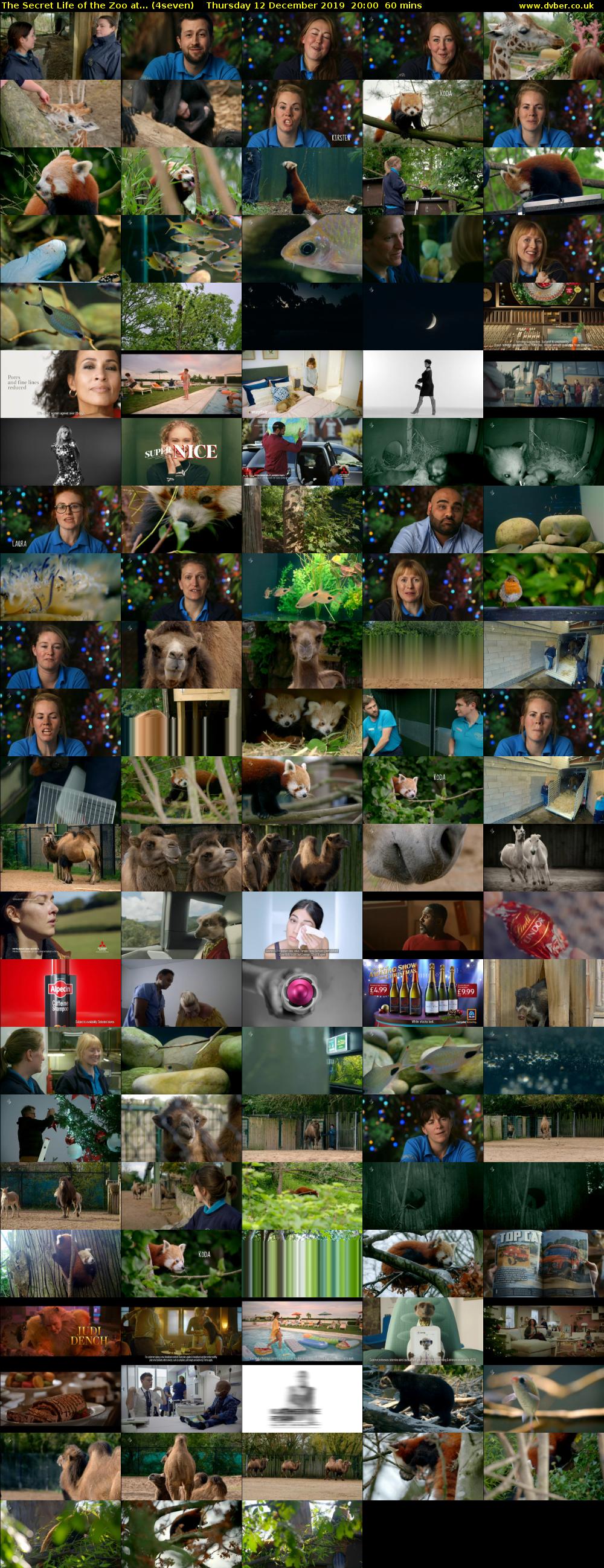 The Secret Life of the Zoo at... (4seven) Thursday 12 December 2019 20:00 - 21:00