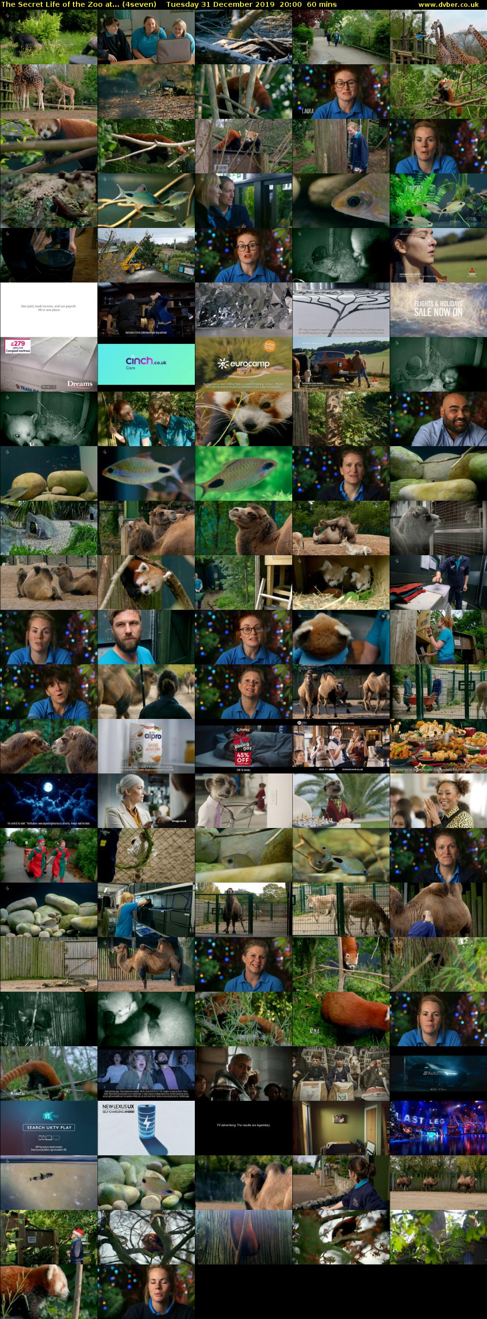 The Secret Life of the Zoo at... (4seven) Tuesday 31 December 2019 20:00 - 21:00