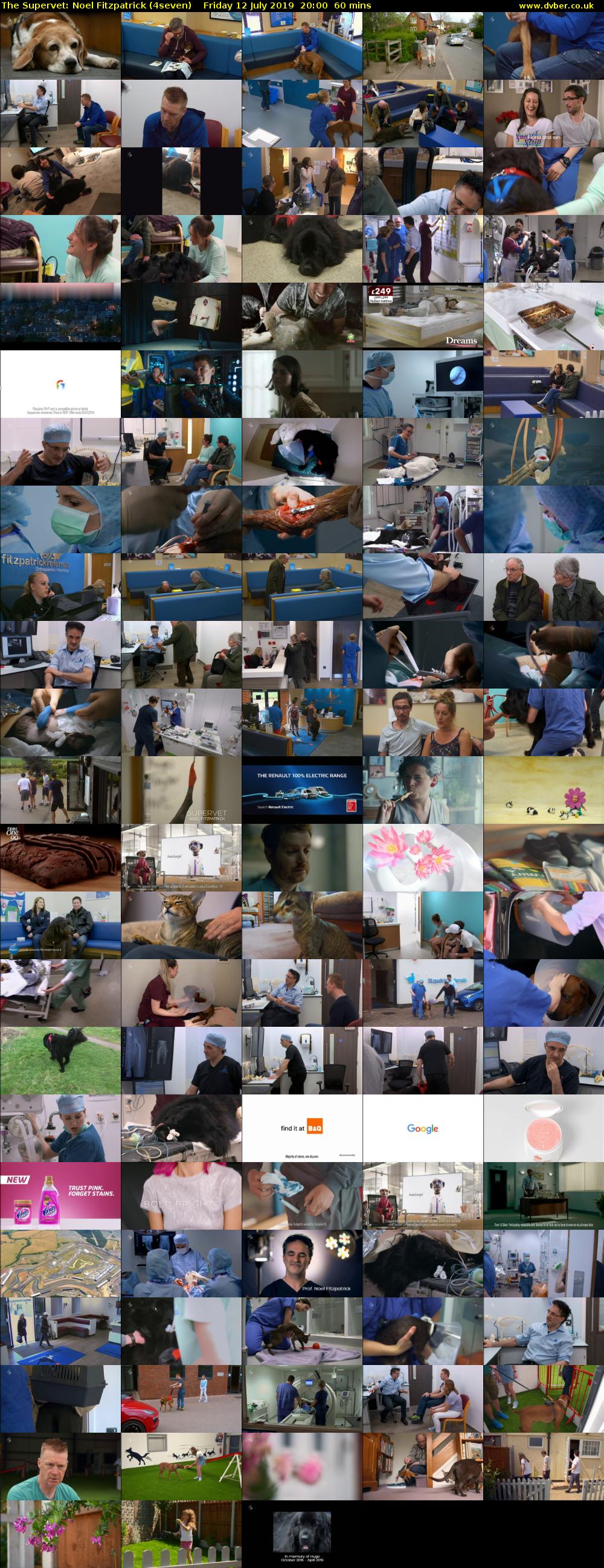 The Supervet: Noel Fitzpatrick (4seven) Friday 12 July 2019 20:00 - 21:00