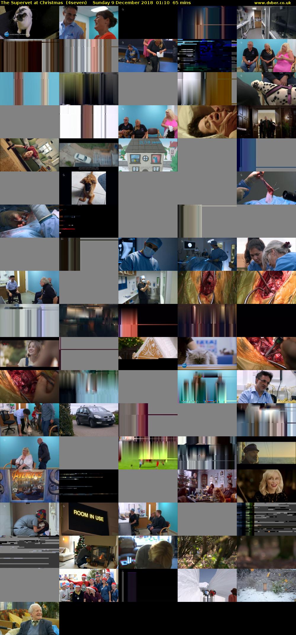 The Supervet at Christmas  (4seven) Sunday 9 December 2018 01:10 - 02:15