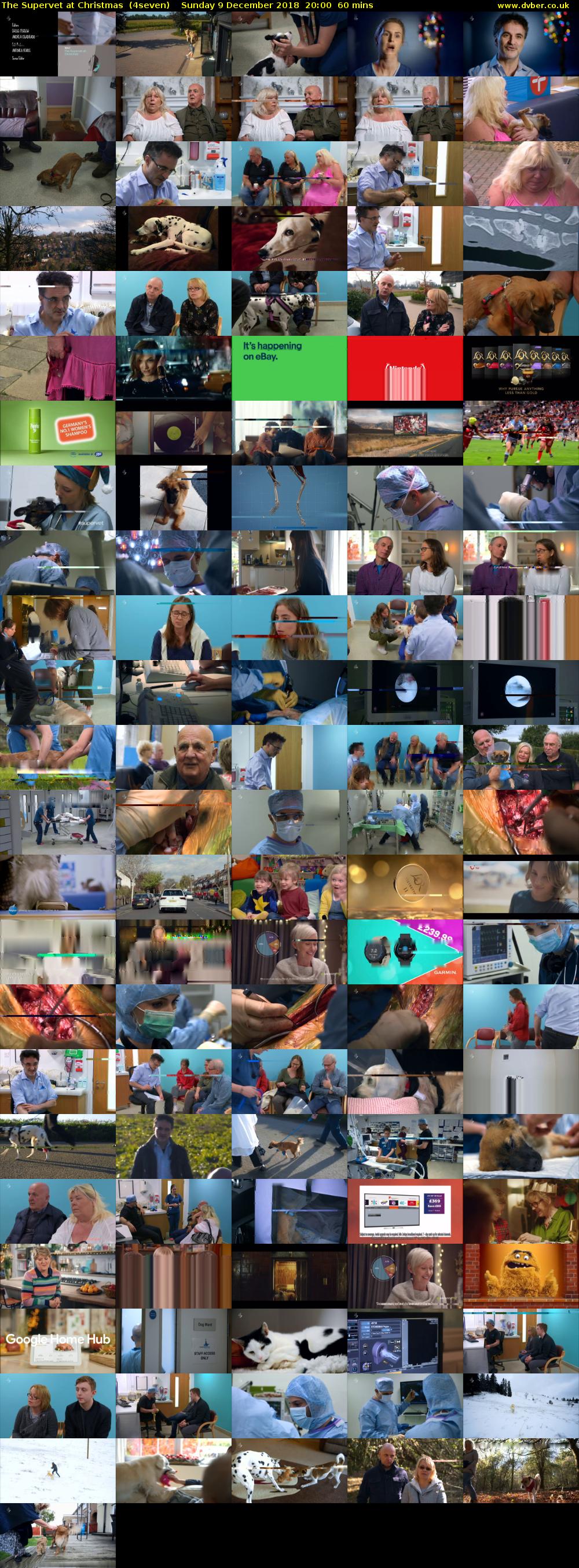 The Supervet at Christmas  (4seven) Sunday 9 December 2018 20:00 - 21:00