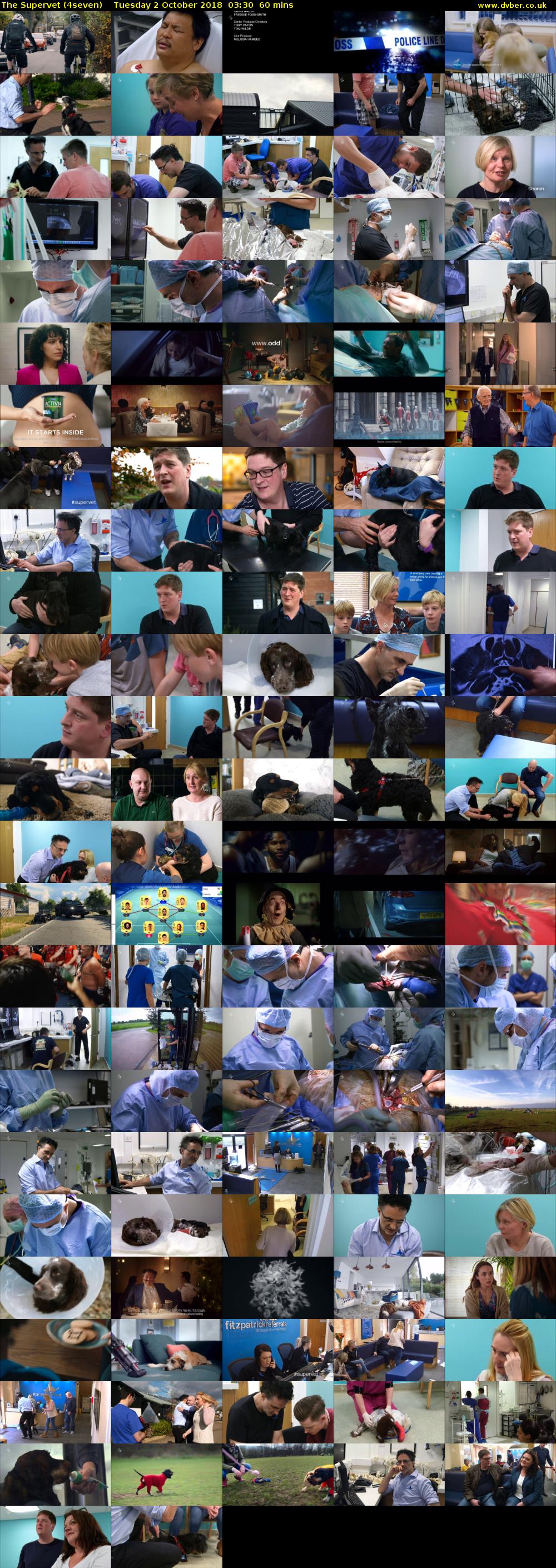 The Supervet (4seven) Tuesday 2 October 2018 03:30 - 04:30