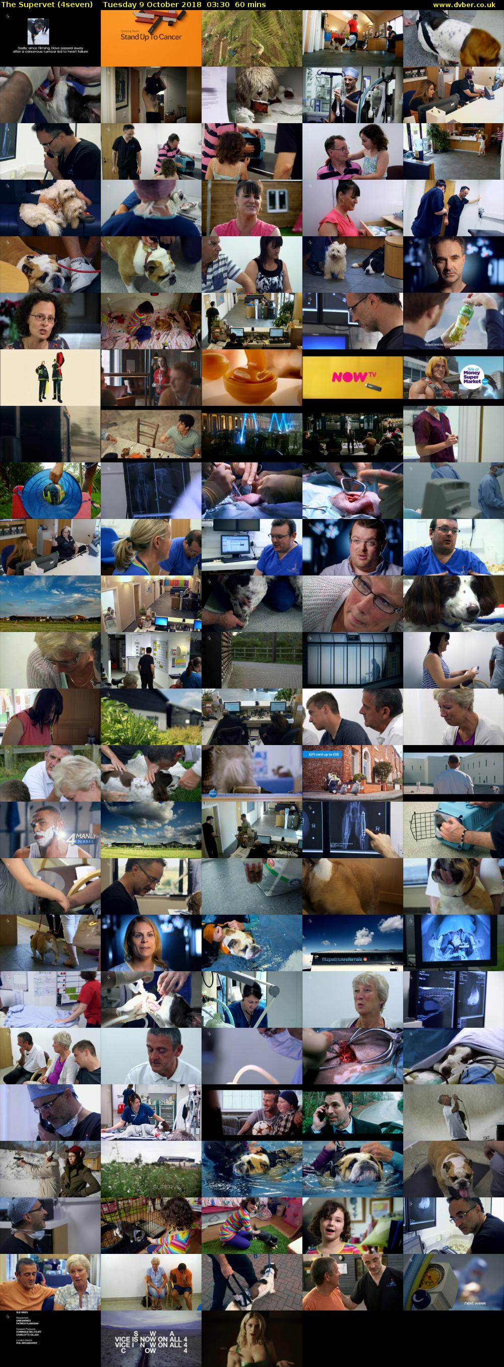 The Supervet (4seven) Tuesday 9 October 2018 03:30 - 04:30