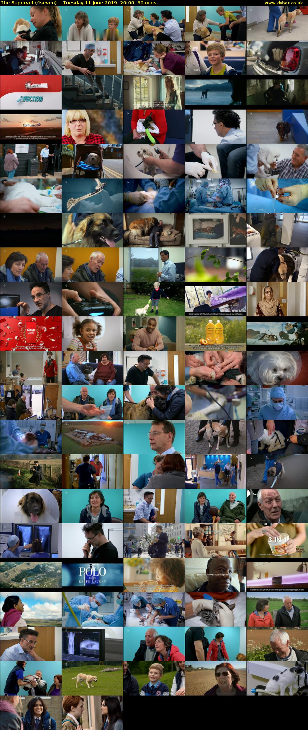 The Supervet (4seven) Tuesday 11 June 2019 20:00 - 21:00