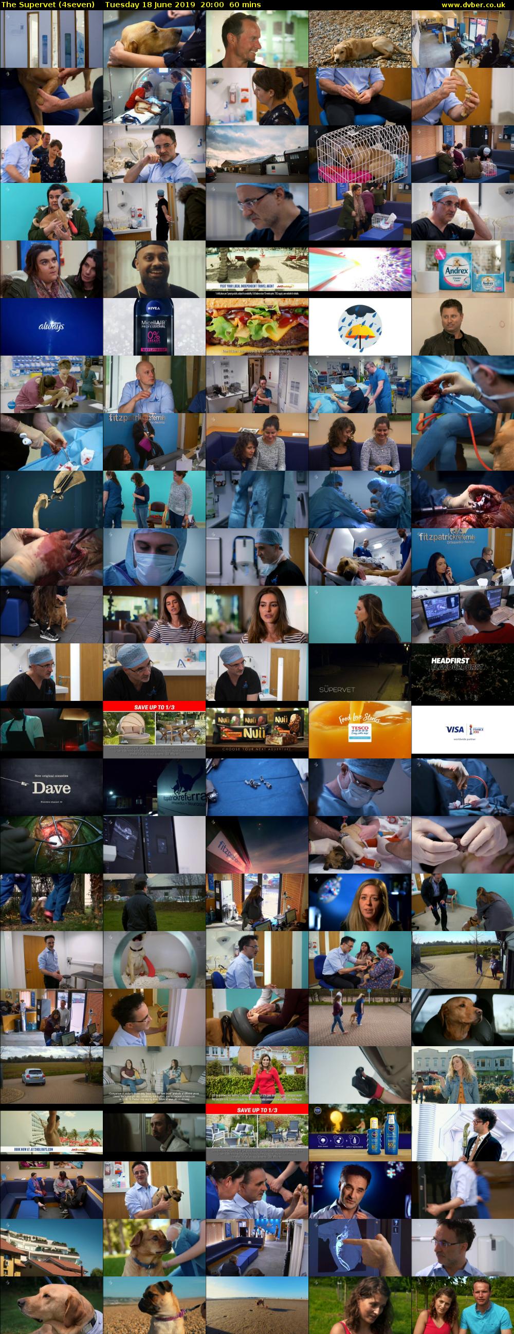 The Supervet (4seven) Tuesday 18 June 2019 20:00 - 21:00
