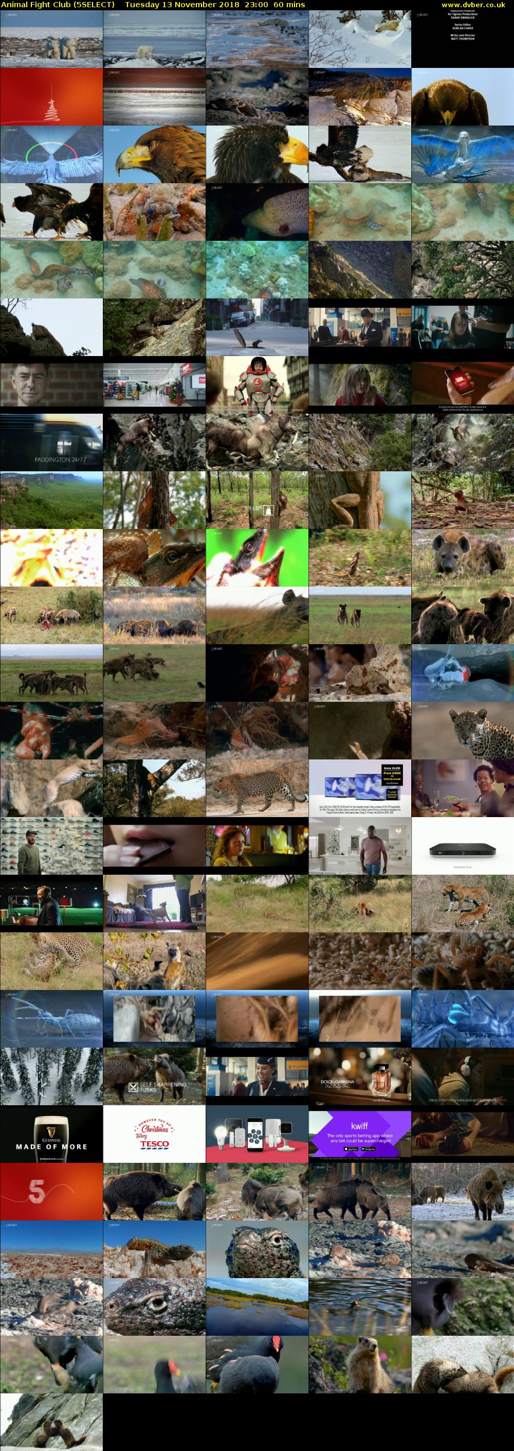 Animal Fight Club (5SELECT) Tuesday 13 November 2018 23:00 - 00:00