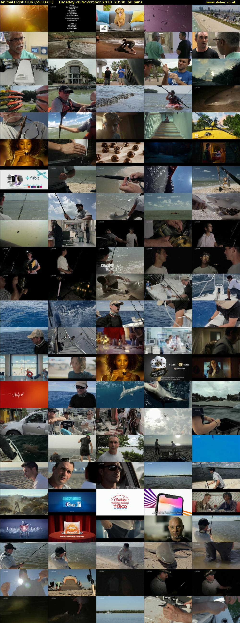 Animal Fight Club (5SELECT) Tuesday 20 November 2018 23:00 - 00:00