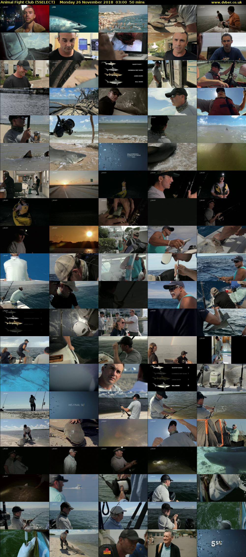 Animal Fight Club (5SELECT) Monday 26 November 2018 03:00 - 03:50