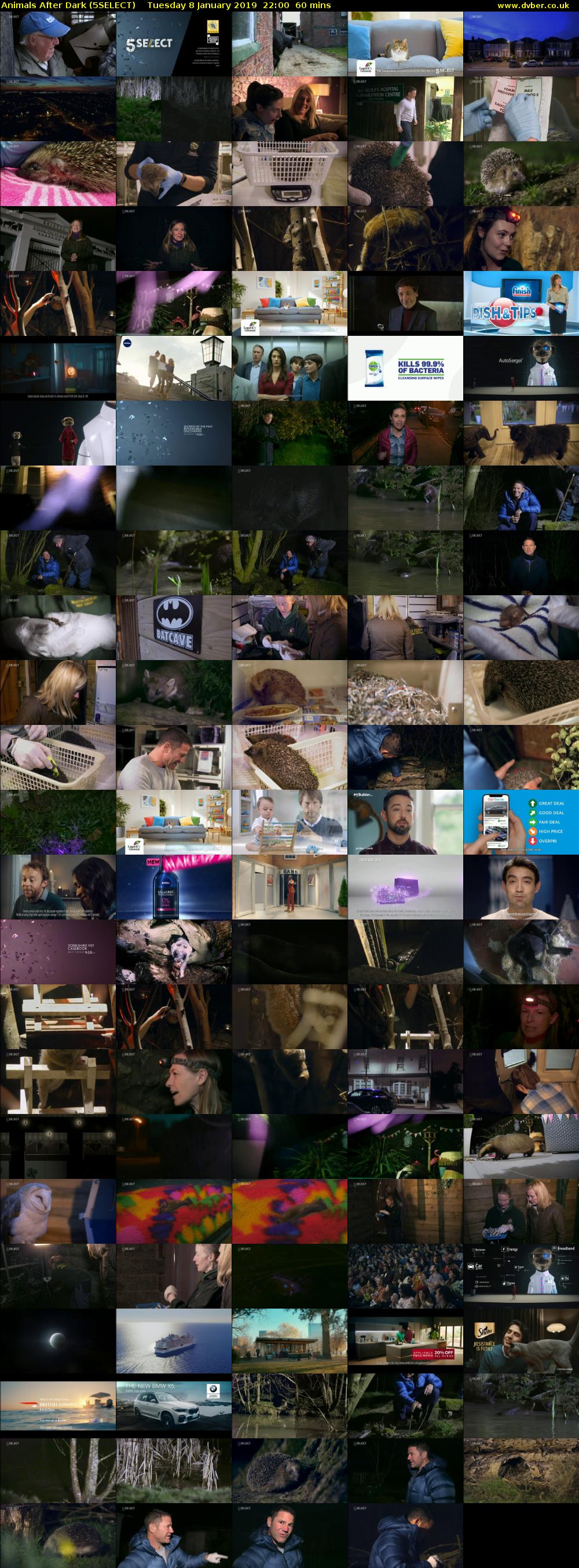 Animals After Dark (5SELECT) Tuesday 8 January 2019 22:00 - 23:00