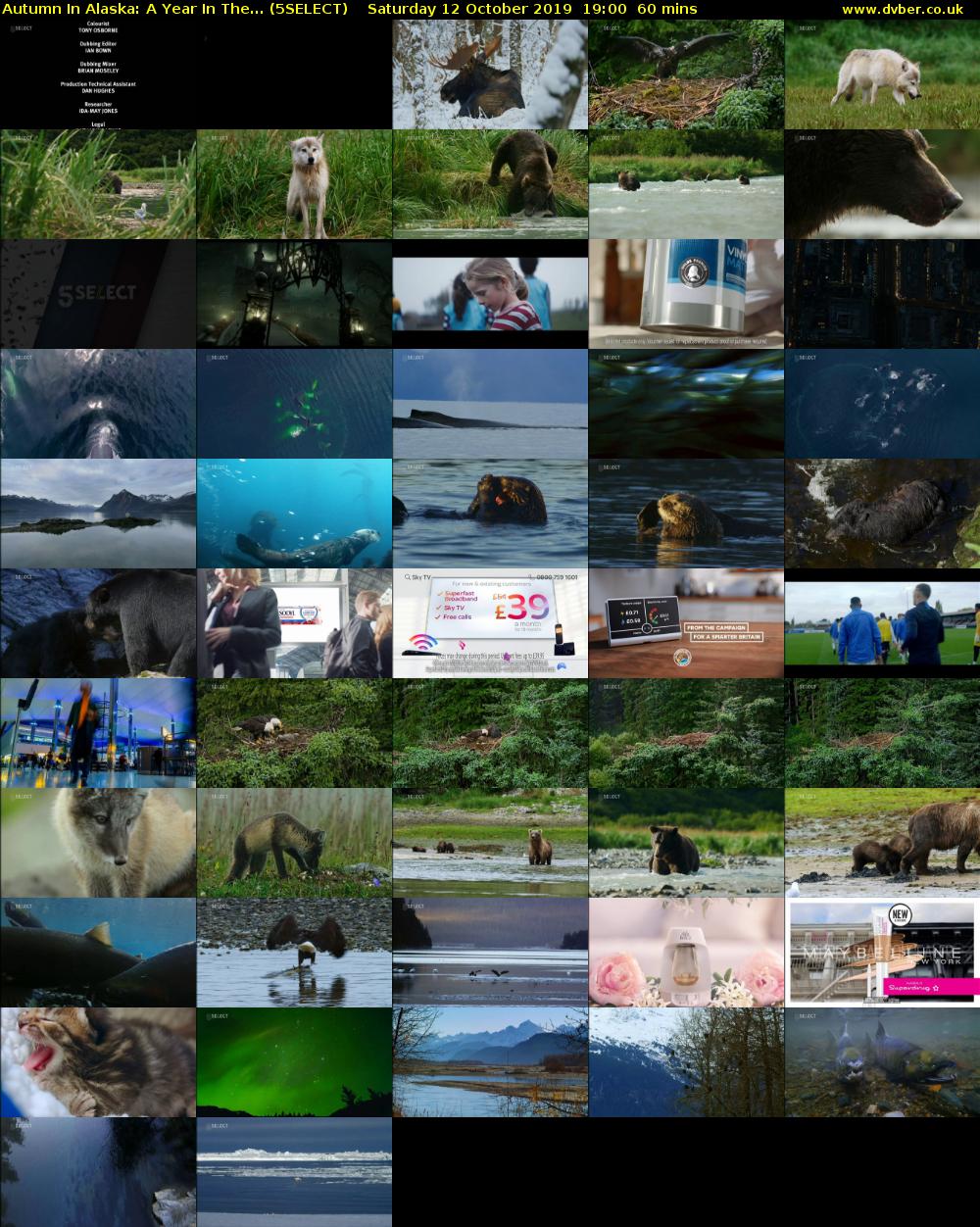 Autumn In Alaska: A Year In The... (5SELECT) Saturday 12 October 2019 19:00 - 20:00