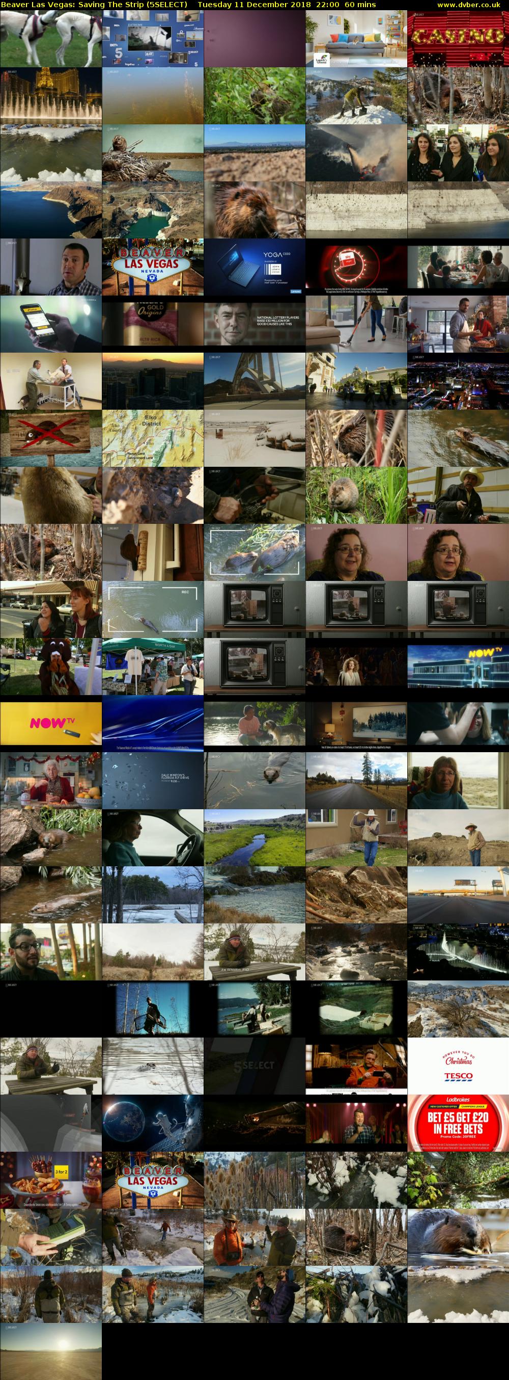 Beaver Las Vegas: Saving The Strip (5SELECT) Tuesday 11 December 2018 22:00 - 23:00
