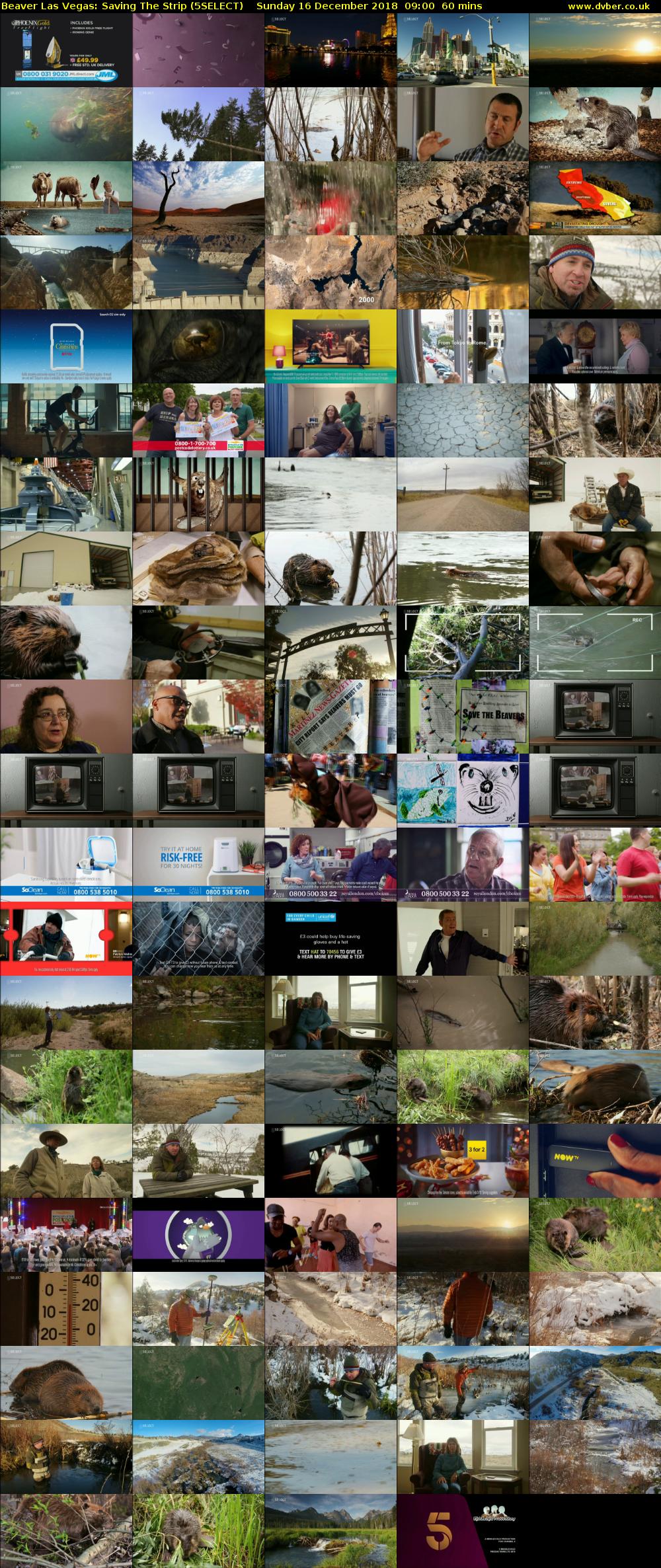 Beaver Las Vegas: Saving The Strip (5SELECT) Sunday 16 December 2018 09:00 - 10:00