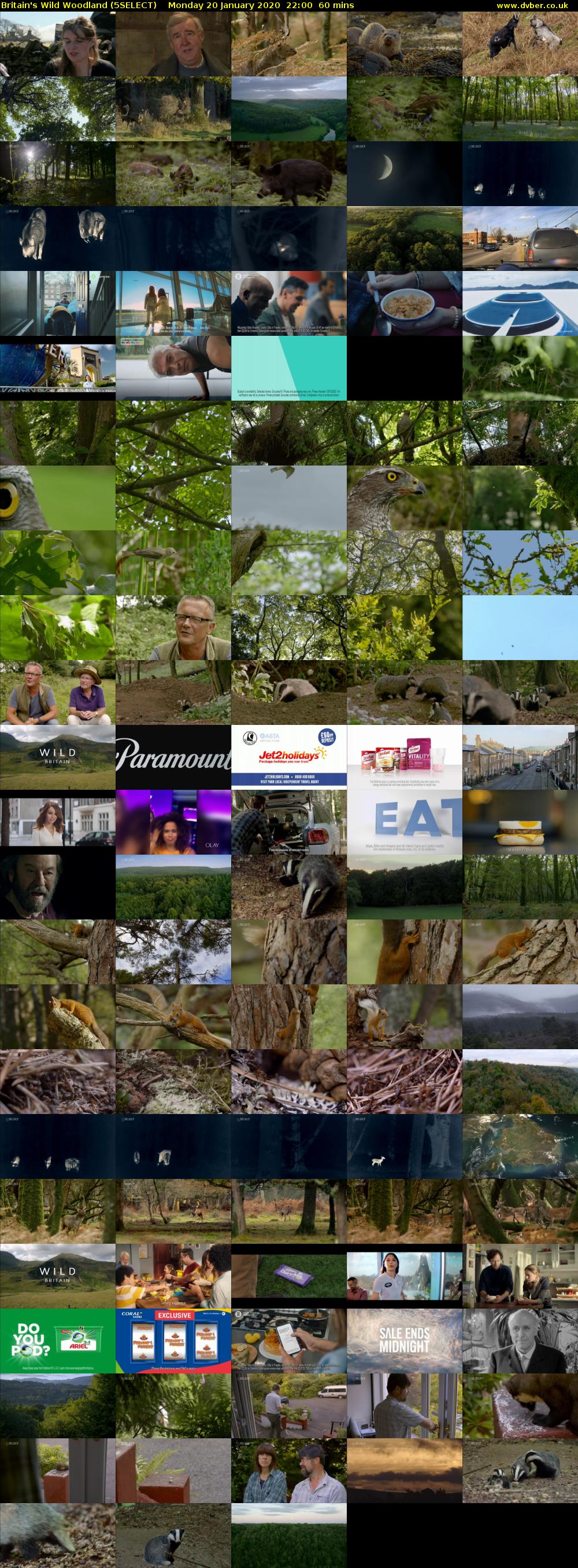 Britain's Wild Woodland (5SELECT) Monday 20 January 2020 22:00 - 23:00