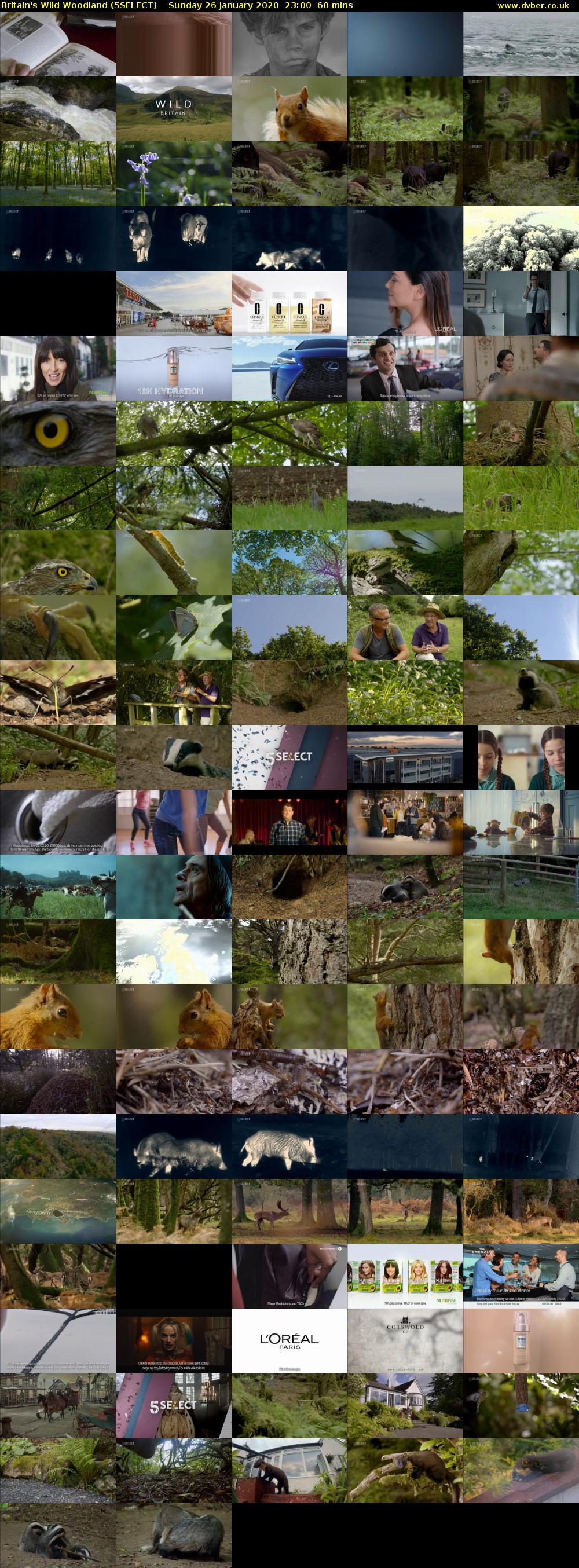 Britain's Wild Woodland (5SELECT) Sunday 26 January 2020 23:00 - 00:00