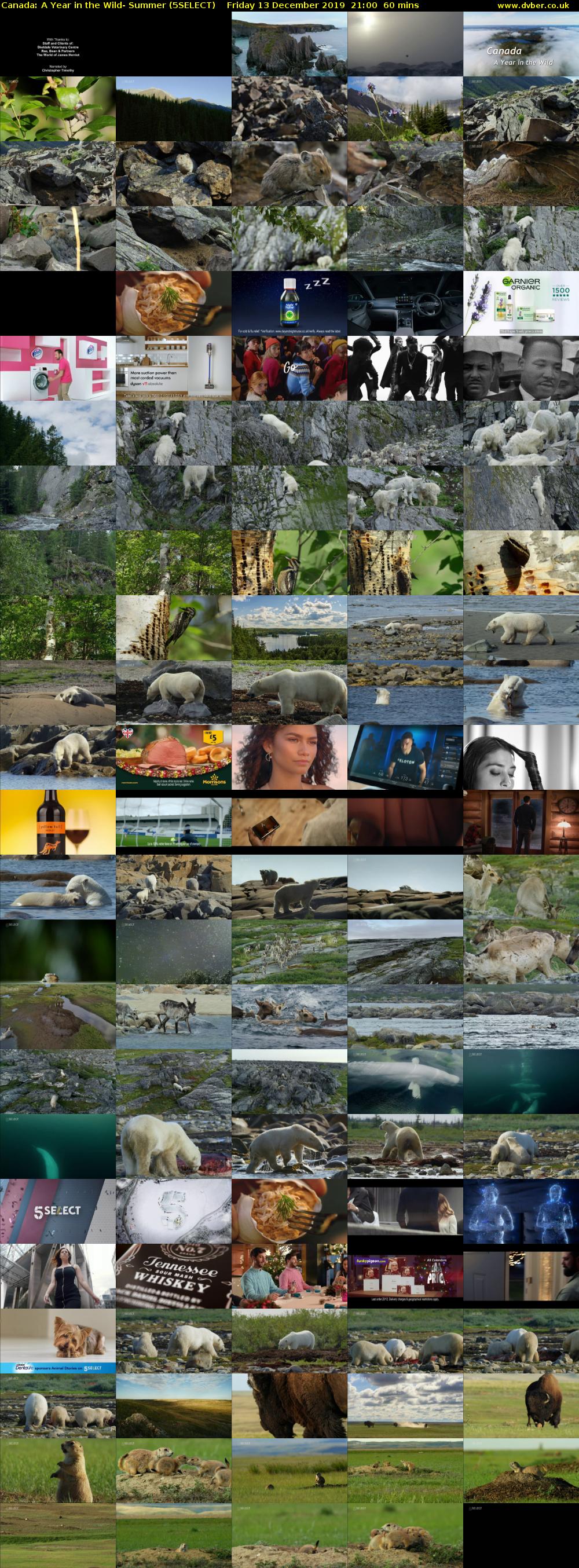 Canada: A Year in the Wild- Summer (5SELECT) Friday 13 December 2019 21:00 - 22:00