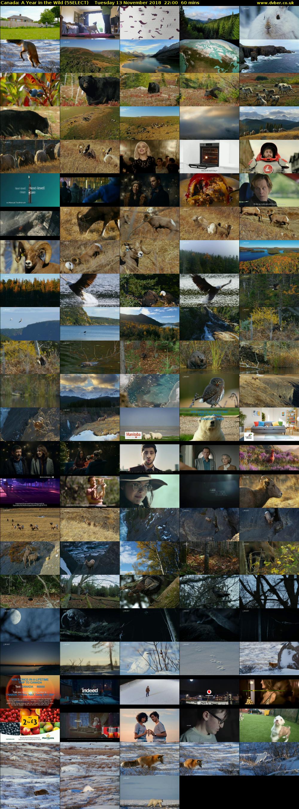 Canada: A Year in the Wild (5SELECT) Tuesday 13 November 2018 22:00 - 23:00