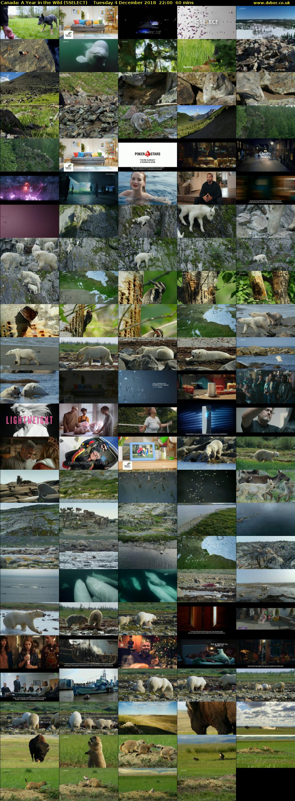 Canada: A Year in the Wild (5SELECT) Tuesday 4 December 2018 22:00 - 23:00