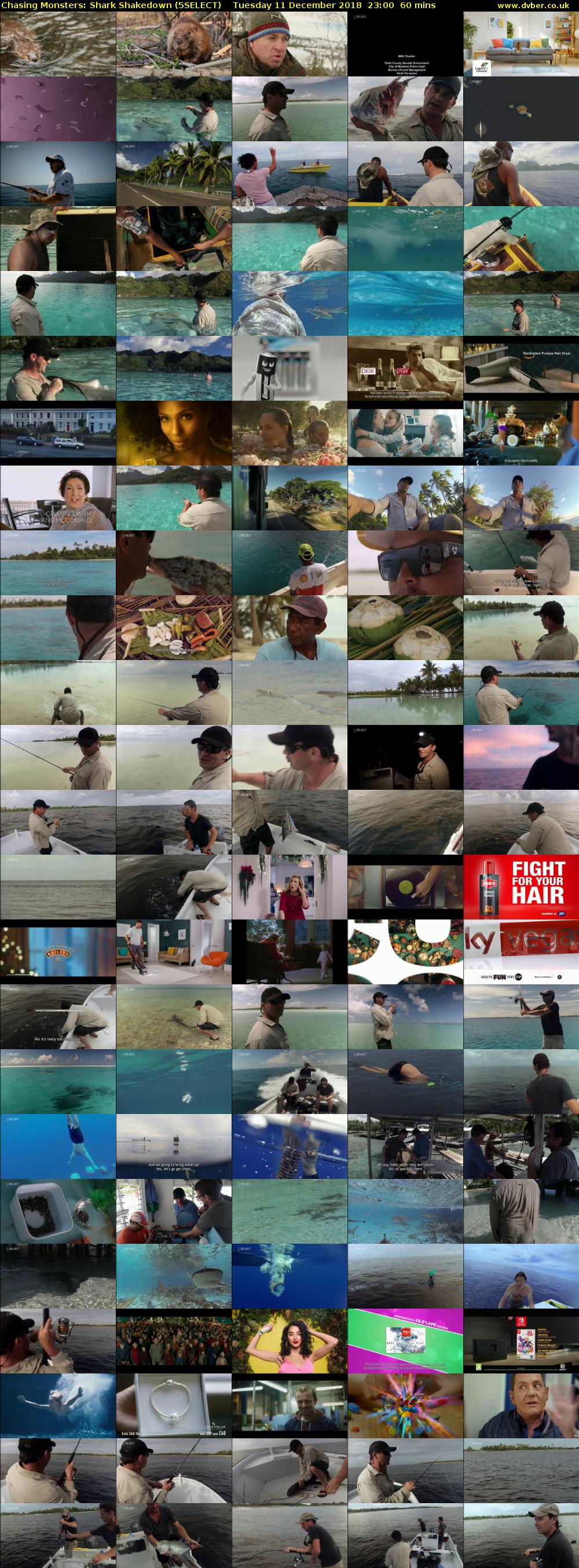 Chasing Monsters: Shark Shakedown (5SELECT) Tuesday 11 December 2018 23:00 - 00:00