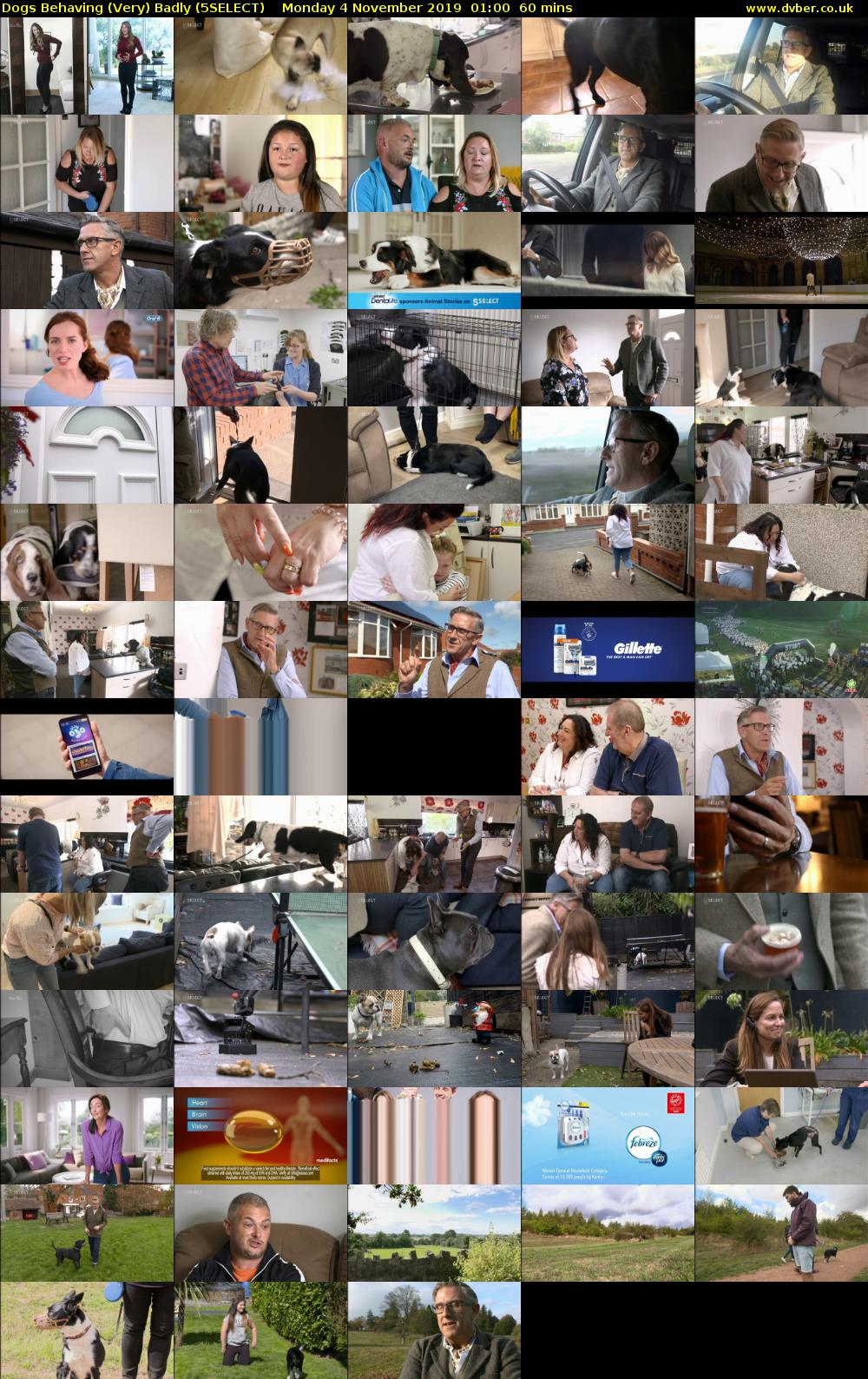 Dogs Behaving (Very) Badly (5SELECT) Monday 4 November 2019 01:00 - 02:00