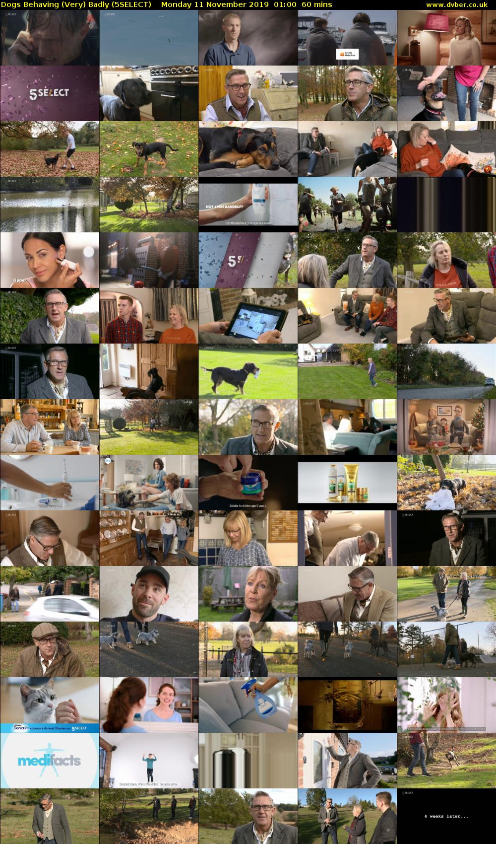 Dogs Behaving (Very) Badly (5SELECT) Monday 11 November 2019 01:00 - 02:00