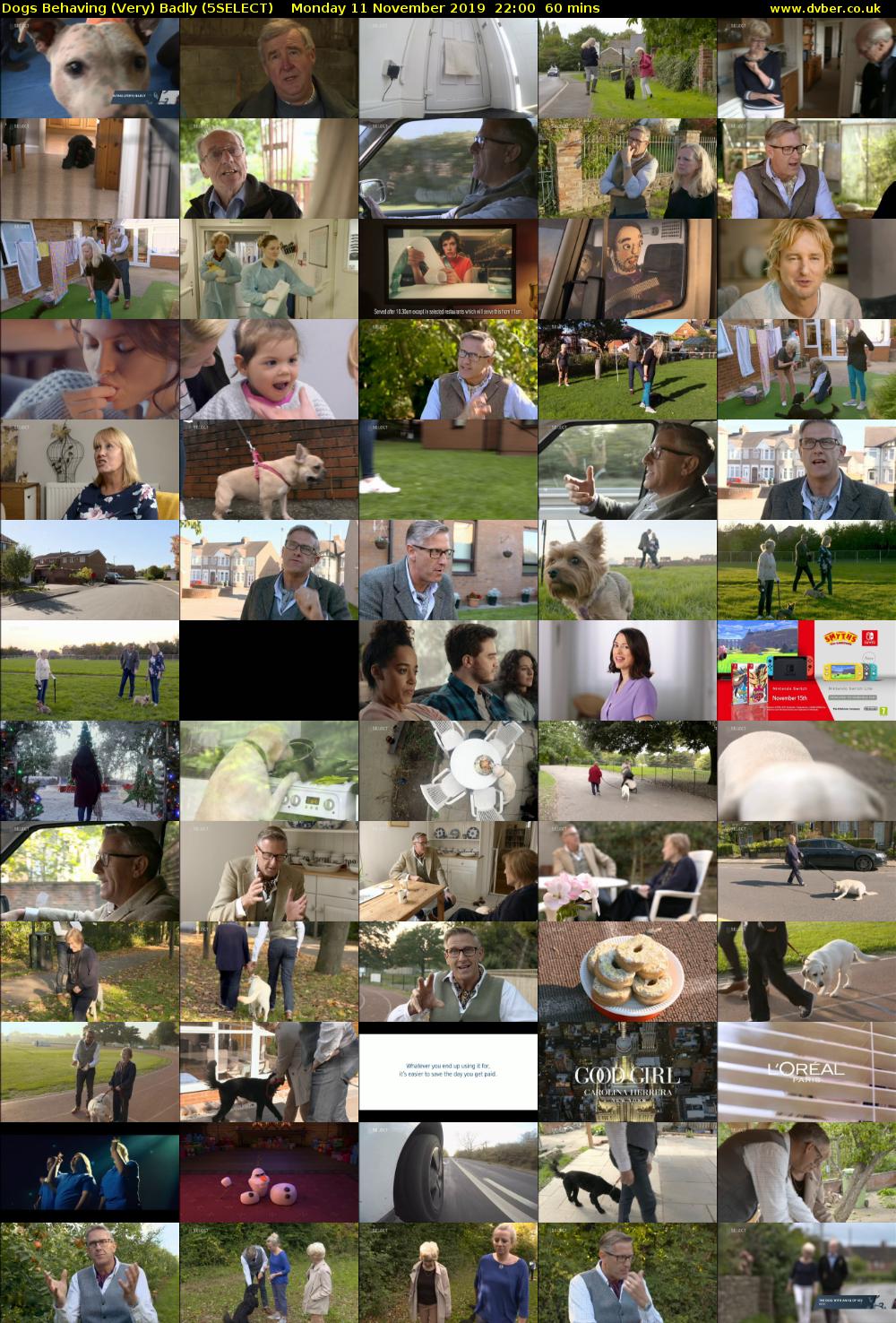 Dogs Behaving (Very) Badly (5SELECT) Monday 11 November 2019 22:00 - 23:00