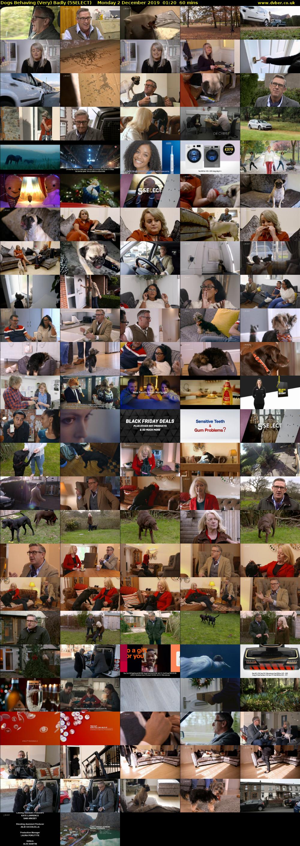 Dogs Behaving (Very) Badly (5SELECT) Monday 2 December 2019 01:20 - 02:20