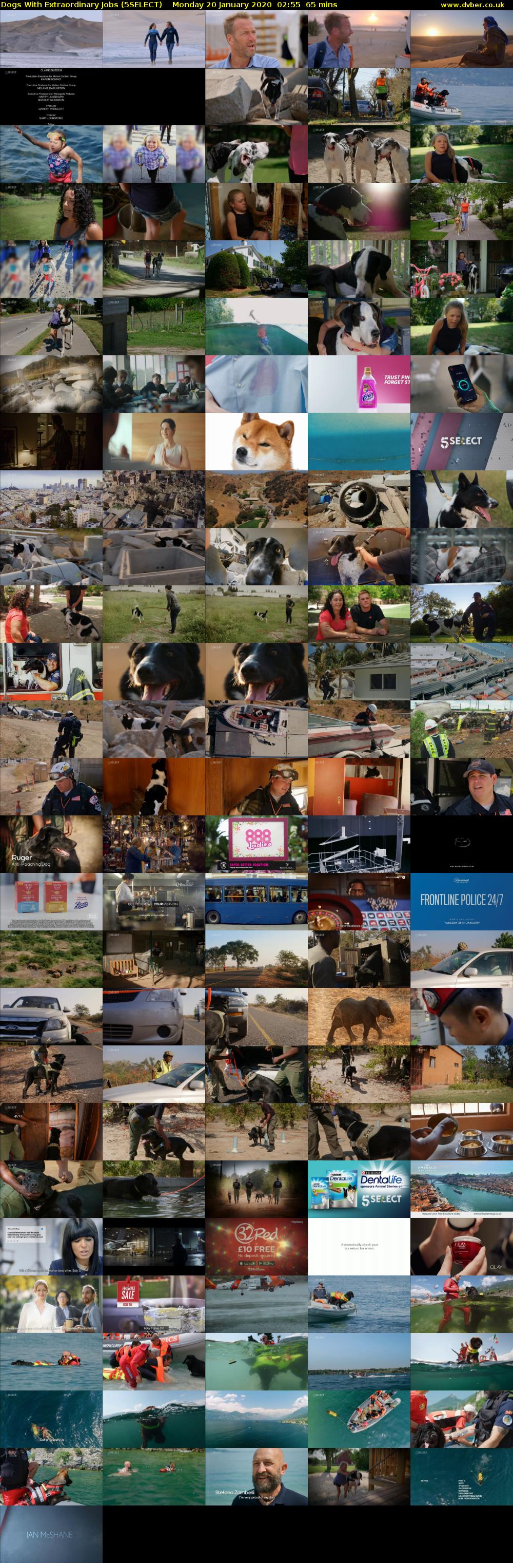 Dogs With Extraordinary Jobs (5SELECT) Monday 20 January 2020 02:55 - 04:00