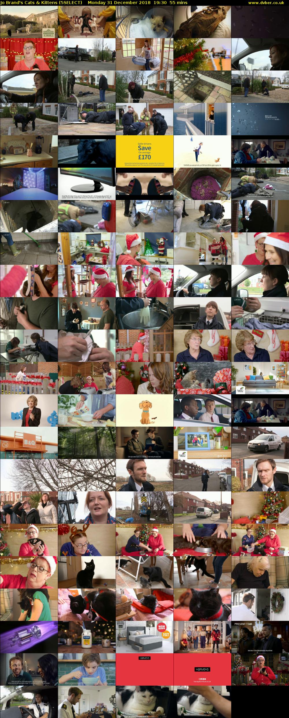 Jo Brand's Cats & Kittens (5SELECT) Monday 31 December 2018 19:30 - 20:25