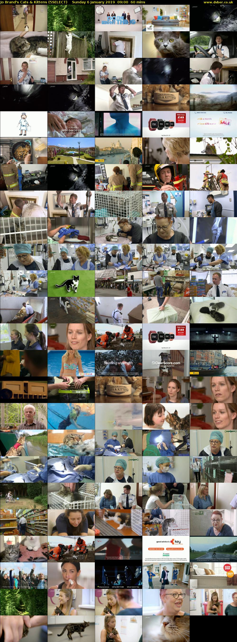 Jo Brand's Cats & Kittens (5SELECT) Sunday 6 January 2019 09:00 - 10:00