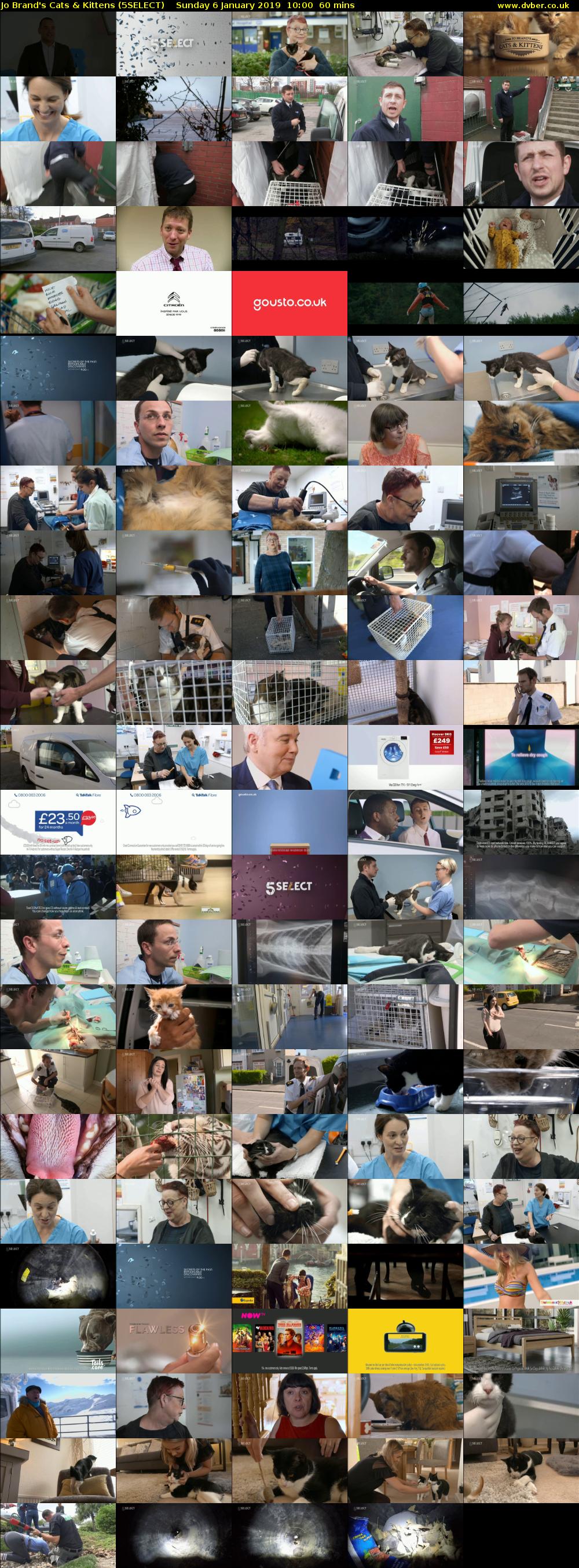 Jo Brand's Cats & Kittens (5SELECT) Sunday 6 January 2019 10:00 - 11:00